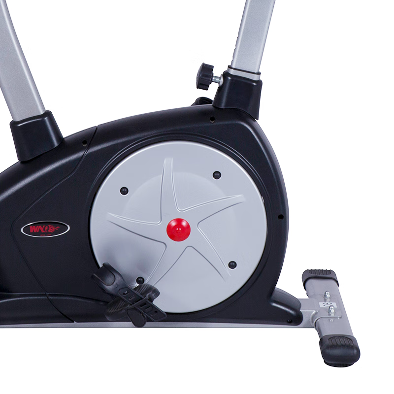 Dieffenbachia (Dieffenbachia) spinning home and commercial silent vertical exercise bike fitness device F1-3318LA