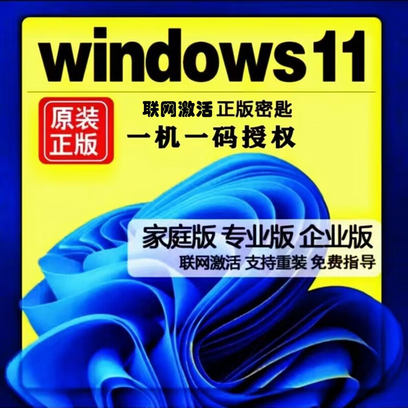 Win10 professional version activation key windows11 genuine system activation code home version upgrade serial number win10 professional version