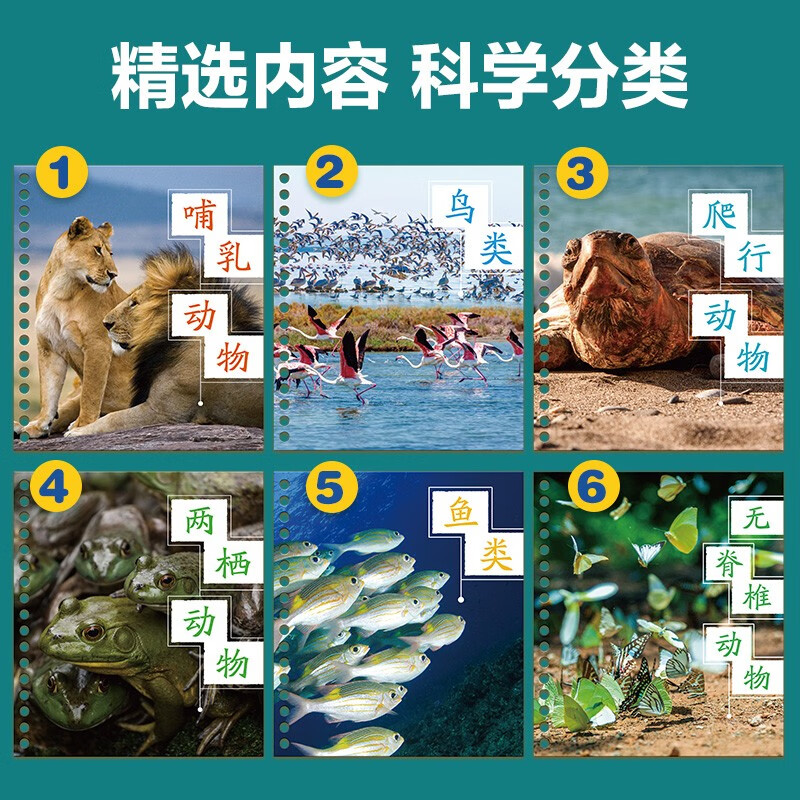 A small encyclopedia of the animal world, a popular science encyclopedia for young children, a flip book, a children's encyclopedia picture book for children