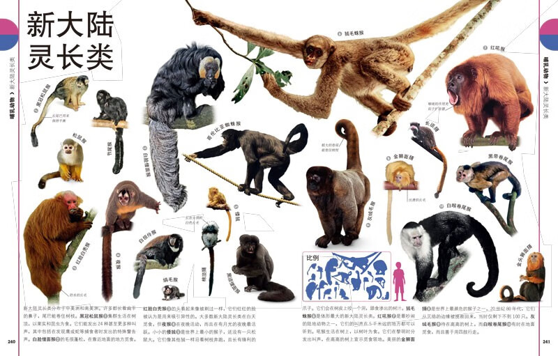 DK Children's Illustrated Encyclopedia of Natural Life Hardcover Genuine Popular Science Encyclopedia for Primary School Students 6-12 Years Old Animals, Plants and Microorganisms Introduction to Natural Observation