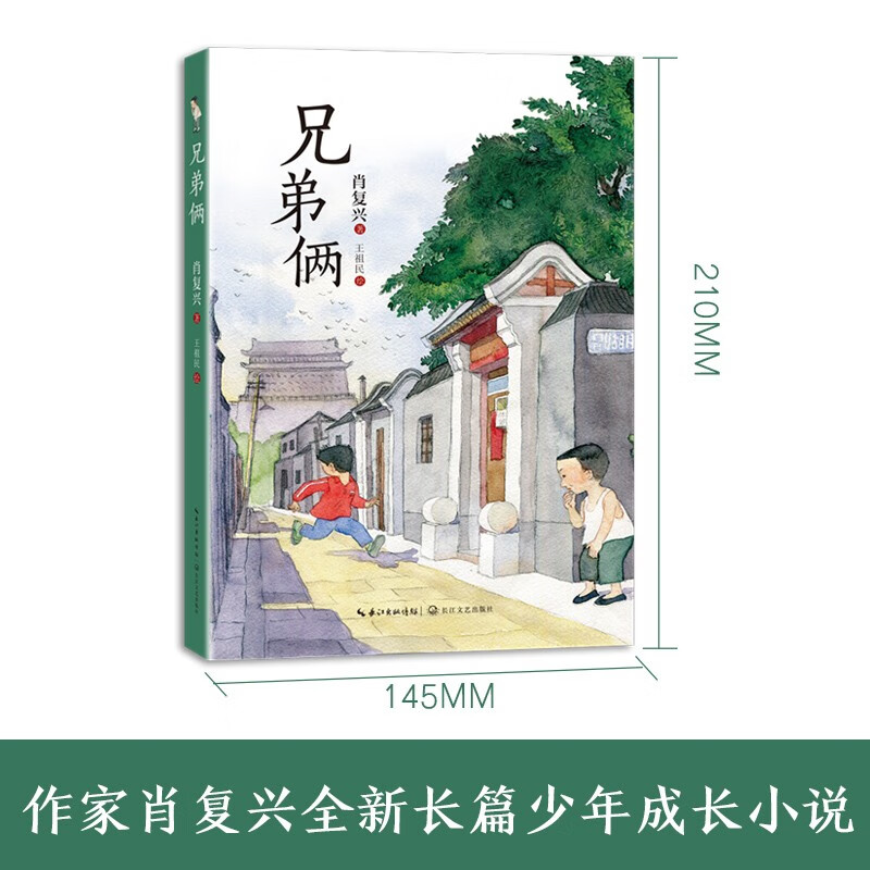 Two Brothers (summer reading book for hundreds of classes and thousands of people) (8-14 years old) children's books, extracurricular books, primary school students' books