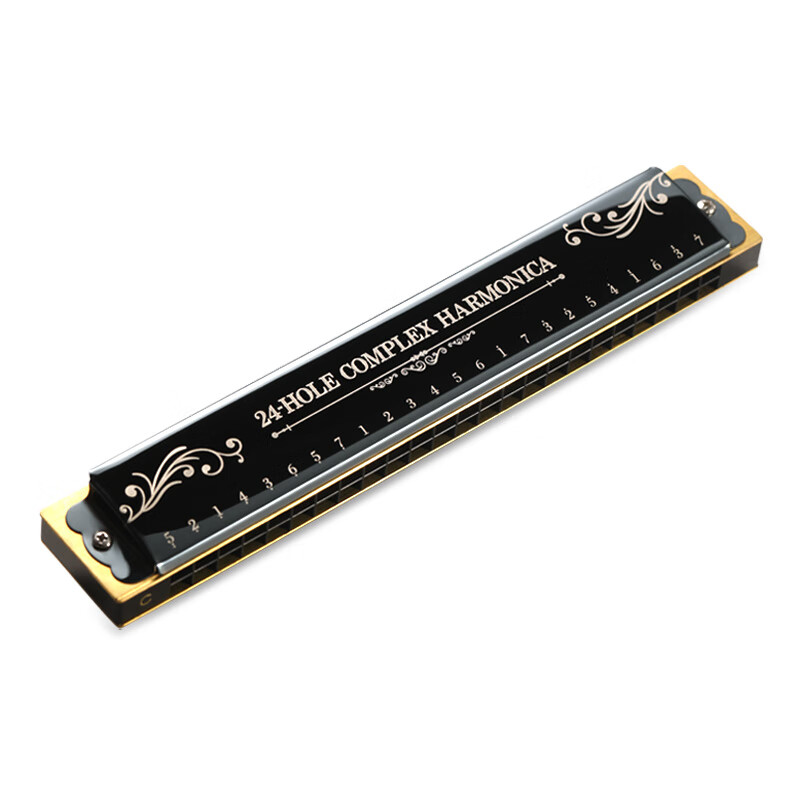 Swan (SWAN) 24-hole polyphonic harmonica phoneme marking professional performance teaching recommended harmonica C key black
