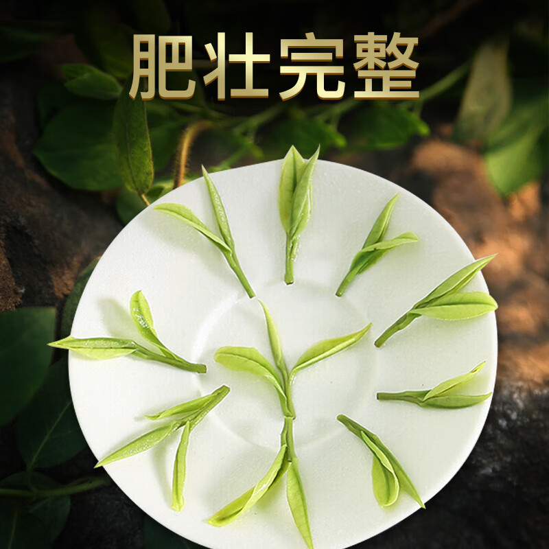 A cup of fragrant tea leaf green tea authentic Anji Mingqian white tea 200g 2025 new tea New Year gift box for yourself to drink