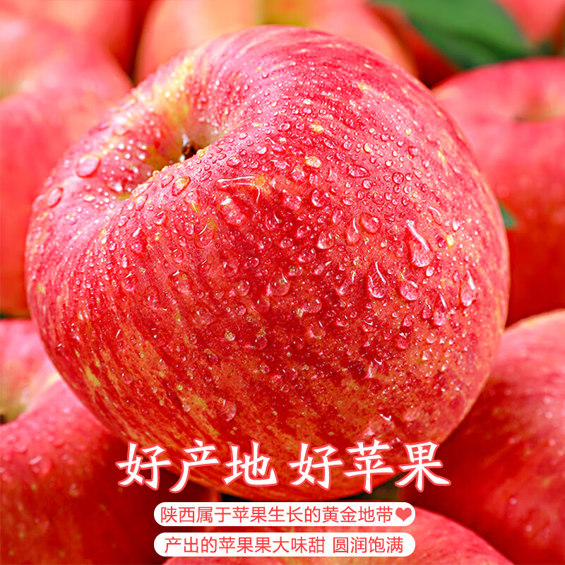 Jingdida Shaanxi Luochuan apples net weight 8.5 catties single fruit 175g + fresh red Fuji apples shipped directly from the source with free shipping