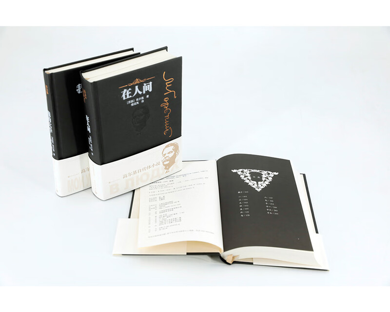 Childhood (Golky's autobiographical novel) Novel