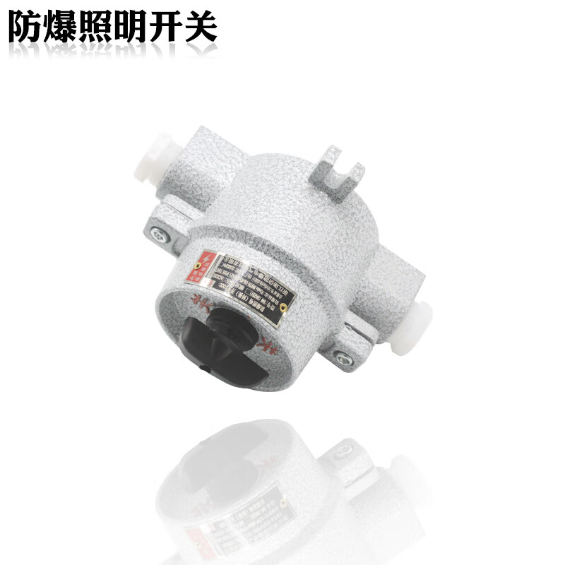 Explosion-proof lighting switch SW-10/220V380V explosion-proof control switch thickened transfer switch IIBIIC SW-10/380V thickened version