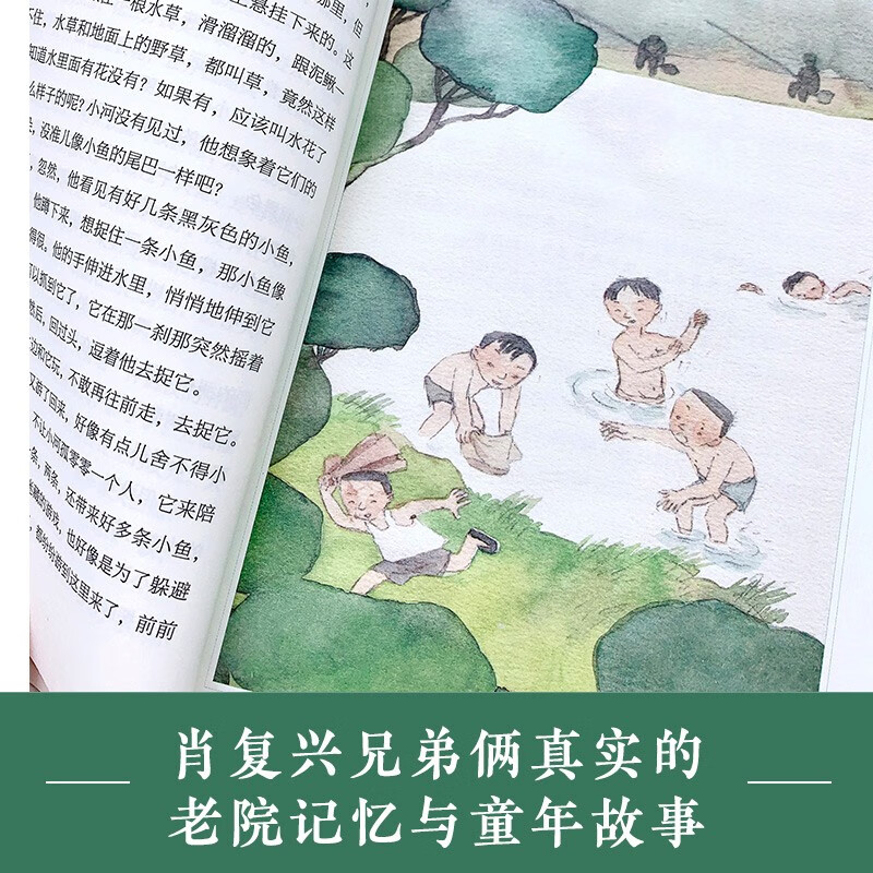 Two Brothers (summer reading book for hundreds of classes and thousands of people) (8-14 years old) children's books, extracurricular books, primary school students' books