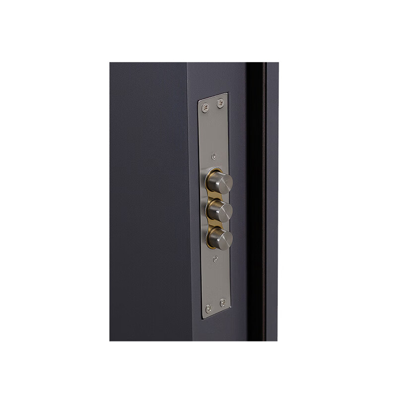 HELE DOORS HELE DOORS Grade A door - Hexing Light luxury and simple style Anti-theft entry door Steel door Customizable 2050*1180 double and double doors