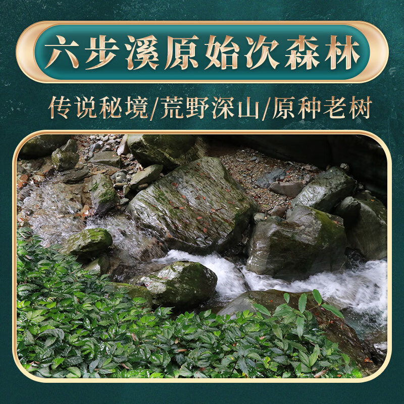 Little Senior Sister Reviews Tea Baishaxi Hunan Anhua Black Tea Royal Brook Lubu Tinglan Liubuxi Bailiang Tea Anhua Black Tea Yunling Gongtuan Tea Cake 200g