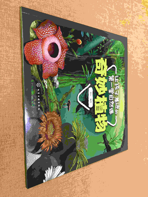 The first nature lesson that fascinates children Wonderful Plants