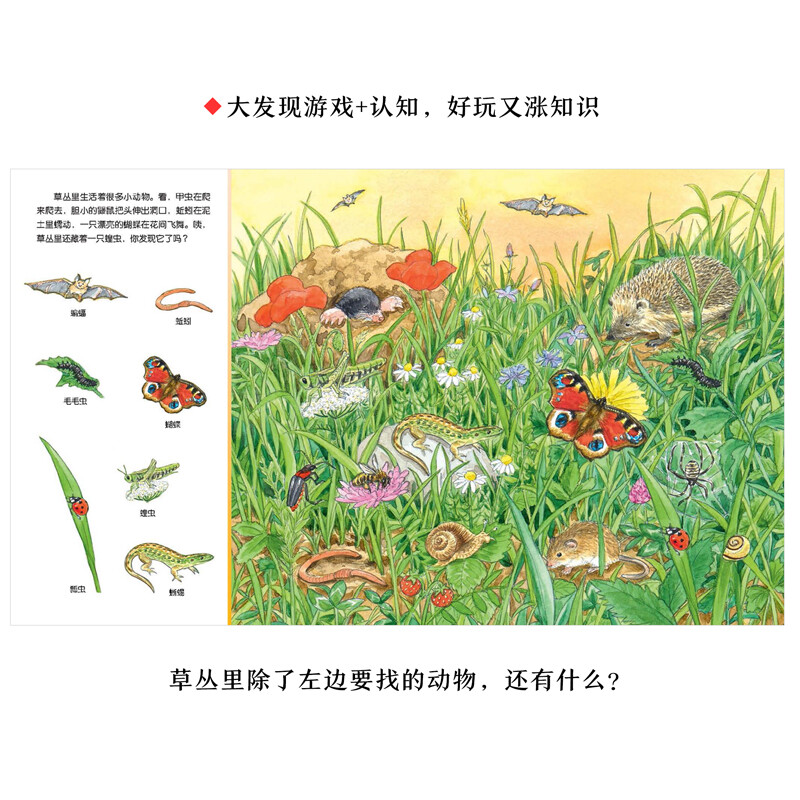 1-4 years old children's concentration training game picture book Baby Concentration 1000 Point Reading Edition, 6 volumes in total, car discovery, animal transportation, festival kindergarten picture book, vision discovery picture book, tear-resistant board book, supports old version of Little Monkey Pipi point reading pen