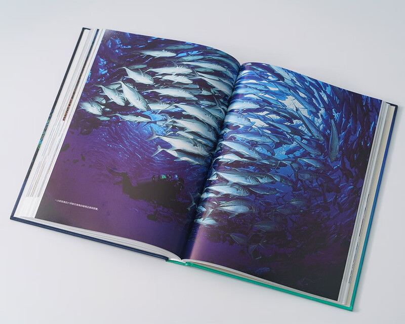 Beautiful Earth Underwater Paradise (Visit 58 dreamy diving resorts and travel the underwater world)