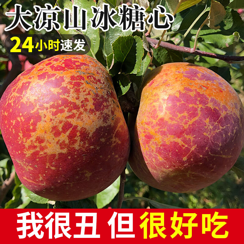 Ugly Apple Fruit Fresh Daliangshan Yanyuan Apple Seasonal Whole Box Pregnant Women Rock Candy Heart Authentic Red Sweet Fuji 9 Jin (Bag Fruit) 75-80mm (Excluding) Medium and Large Fruit High Repeat Purchase