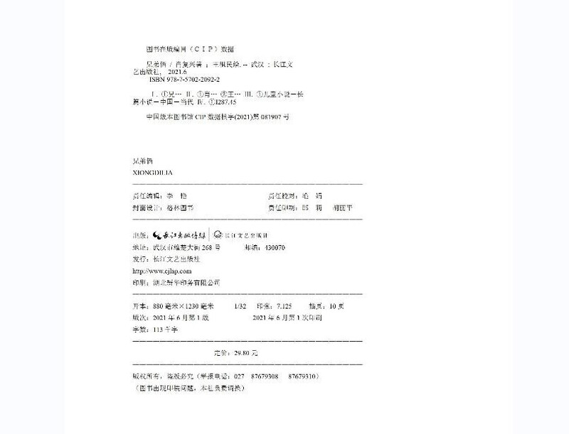 Two Brothers (summer reading book for hundreds of classes and thousands of people) (8-14 years old) children's books, extracurricular books, primary school students' books