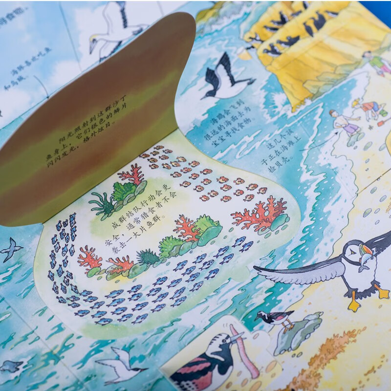 Usborne looks inside and reveals the secrets of the ocean (new version)