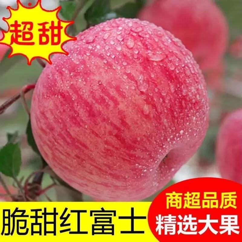 Erdie Shaanxi Red Fuji Apple Fresh Fruit 10 Jin Rock Candy Heart Seasonal Ugly Apple Seasonal Fruit Crisp Sweet Whole Box Selected 9 Jin Pack Net Weight 8.5 Jin 80-85mm