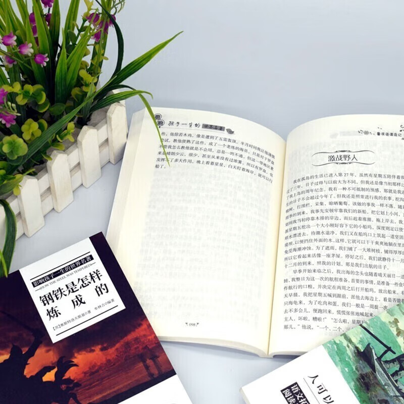 World classics that influence children's lives, 10 volumes (Steel + Pride + Jane Eyre + Shakespeare's Comedy + Tragedy + Under the Sea + Education of Love + The Old Man and the Sea + Three Days of Light + Robinson) children's literature novels, world classics, extracurricular books for primary and secondary school students to read