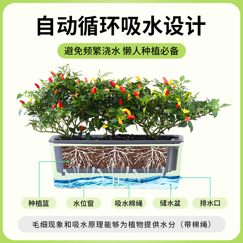 Field path rectangular flower pot balcony vegetable pot water-free window sill narrow side long vegetable trough vegetable planting box strawberry pot 3 narrow side flower pots (free 6 packs of random vegetable seeds)