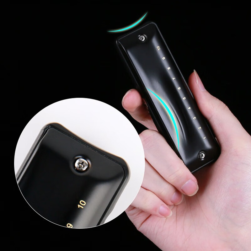 JDR imported gongs ten 10-hole blues harmonica NinJa ninja beginners as entry-level advanced playing matte black 10-hole Paddy scale C key - commonly used mode