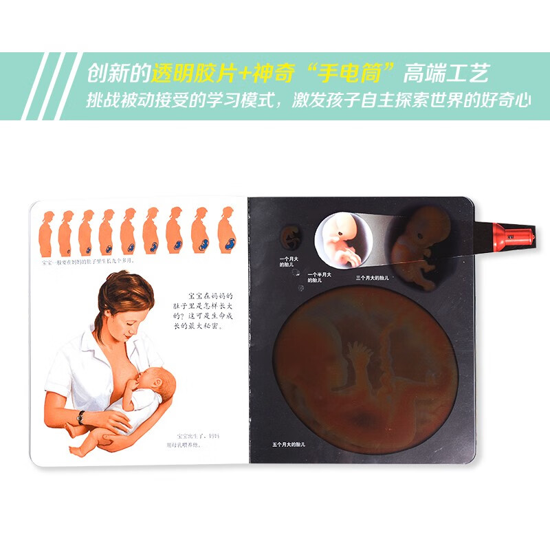 Discovered for the first time the Magic Flashlight Series (set of 20 volumes in total)