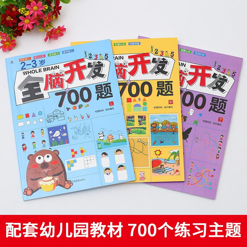Whole brain development 700 questions 2-3 years old, 3 volumes of children's educational books, concentration training exercise books, full set of game books, reading extracurricular books, extracurricular independent reading holiday books