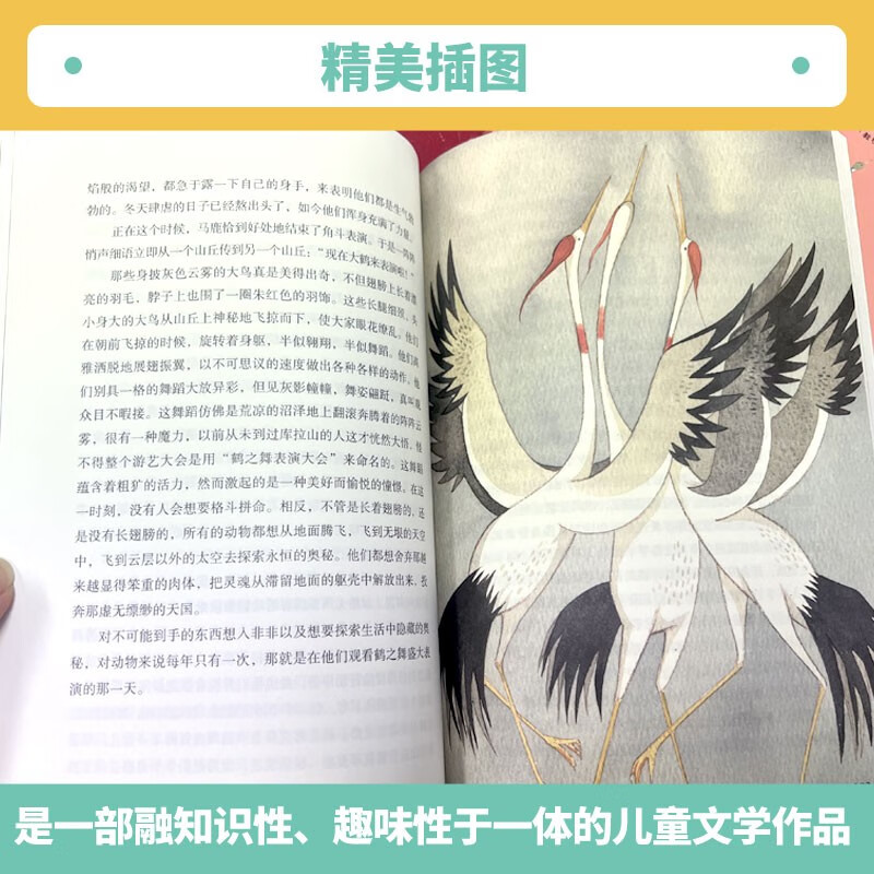 Niels's Travels Riding a Goose, People's Education Press Happy Reading Bar for Sixth Grade, Volume 2 (3 volumes), edited by Cao Wenxuan and Chen Xianyun, supporting Chinese textbooks