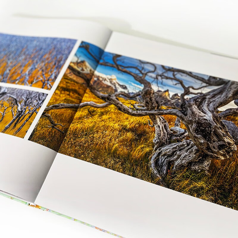 Tree Between Heaven and Earth contains nearly 300 beautiful photos, interspersed with four extra-long slides, covering the desktop with majestic momentum, rushing towards the magnificent wonders of life.