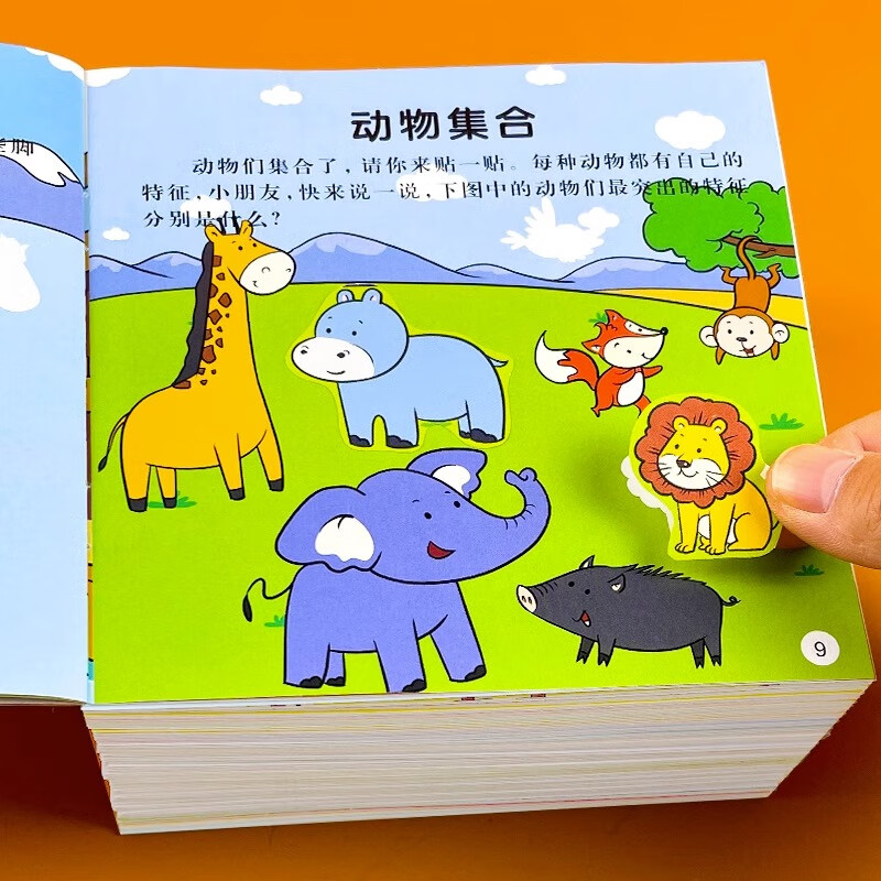 Focus Game Sticker Book