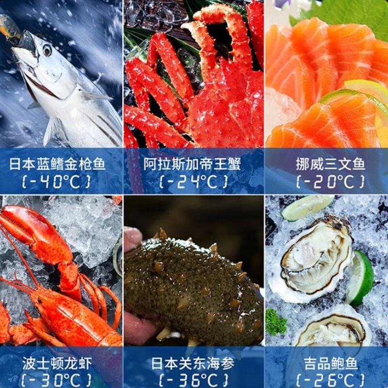 Baili Freezer (BAILI) Freezer Commercial Freezer Ultra-low Temperature Cabinet-40 Degree Freezer Large Capacity Horizontal Freezer Commercial Super Salmon Seafood Cabinet Large Cryogenic Quick Freezer 520 Liters Low Temperature-40 BD-40T520