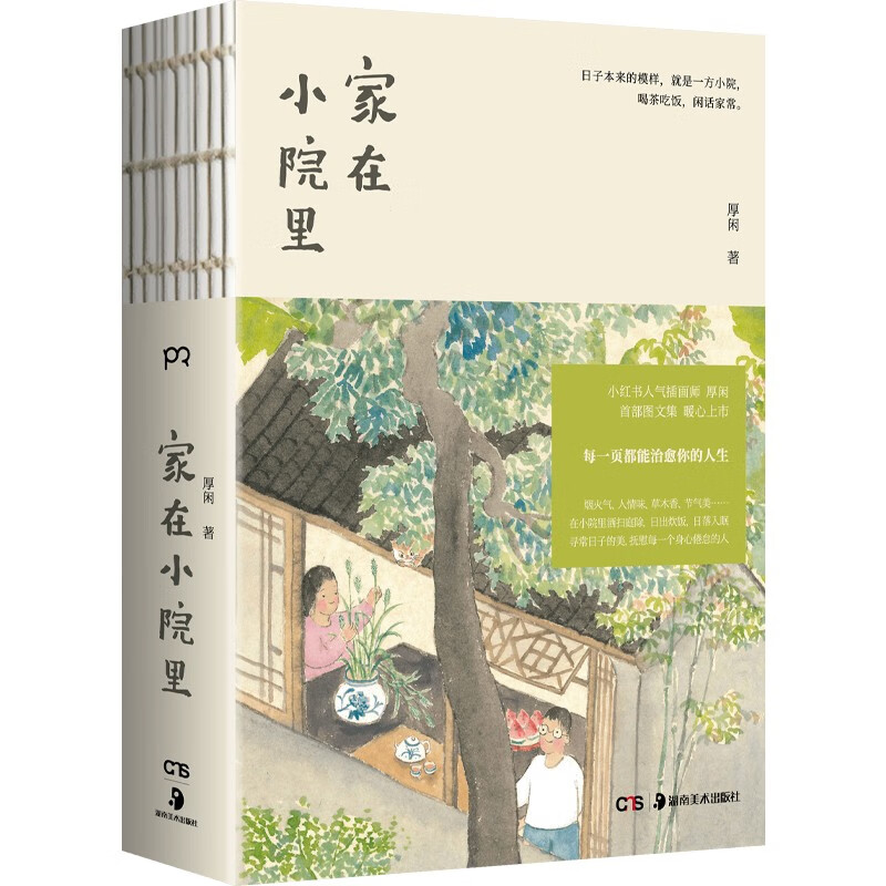 Home in the courtyard, leisurely, heartwarming and healing comics, paintings, essays, relief from anxiety, illustrations, art essays, similar to You Look So Beautiful Today, Chasing the Lost Time, Jimmy Cai Zhizhong's books
