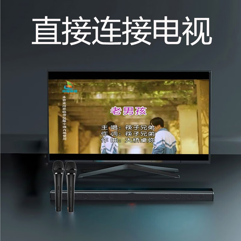 Home ktv karaoke wireless microphone projector singing equipment set karaoke bluetooth microphone home high-end audio version + 2 charging microphones