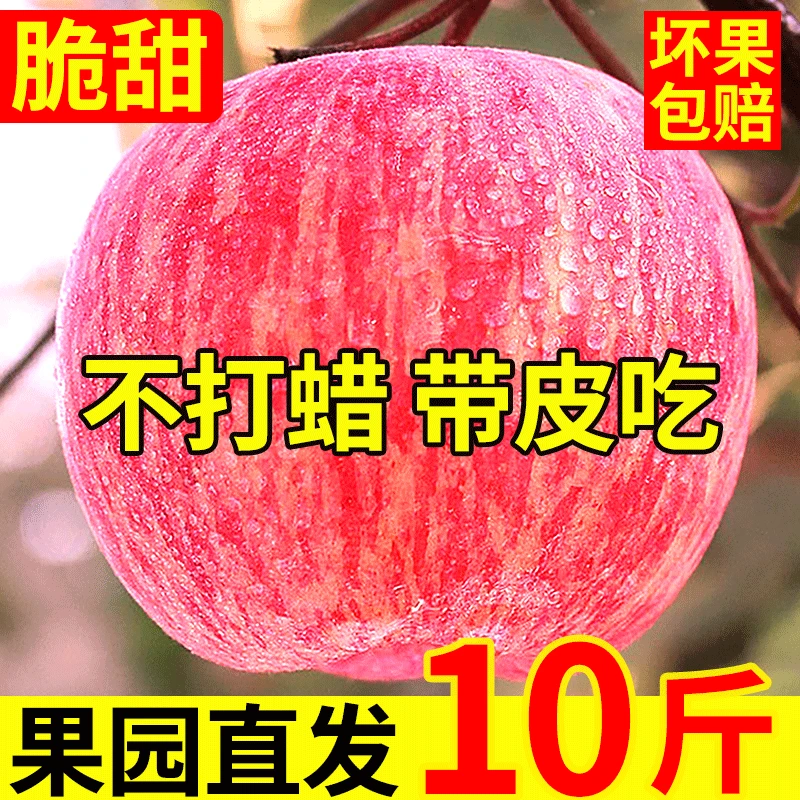 Erdie Shaanxi Red Fuji Apple Fresh Fruit 10 Jin Rock Candy Heart Seasonal Ugly Apple Seasonal Fruit Crisp Sweet Whole Box Selected 9 Jin Pack Net Weight 8.5 Jin 80-85mm