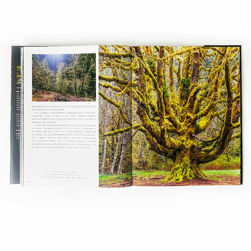 Tree Between Heaven and Earth contains nearly 300 beautiful photos, interspersed with four extra-long slides, covering the desktop with majestic momentum, rushing towards the magnificent wonders of life.