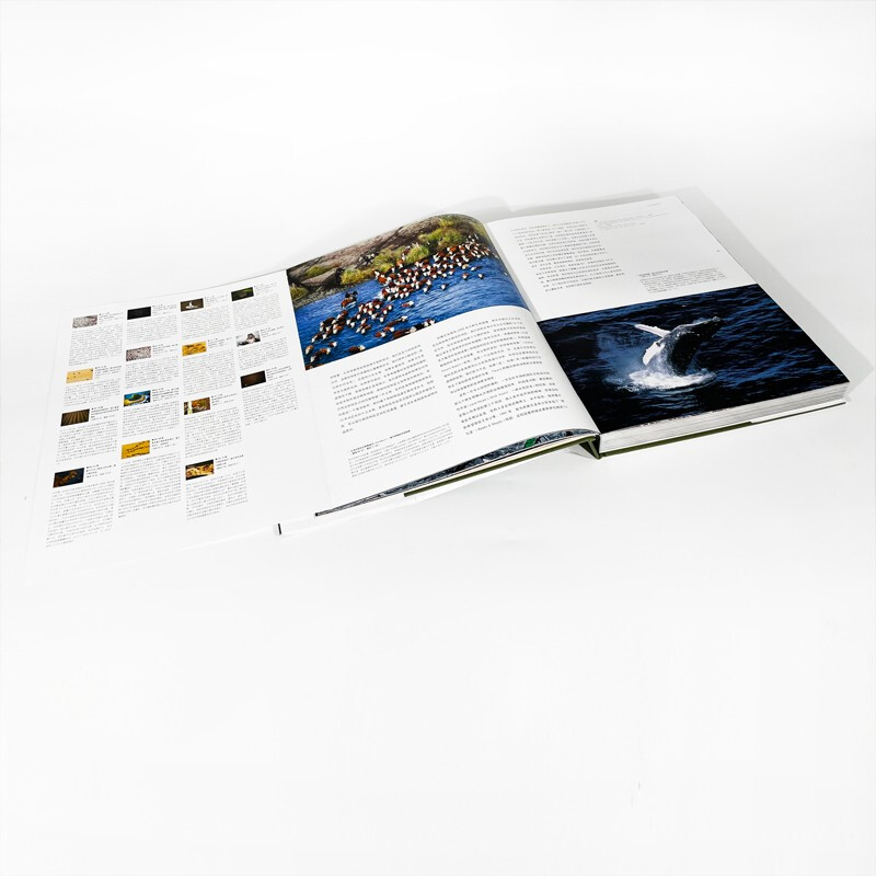 A bird's eye view of the earth tells the story of the earth