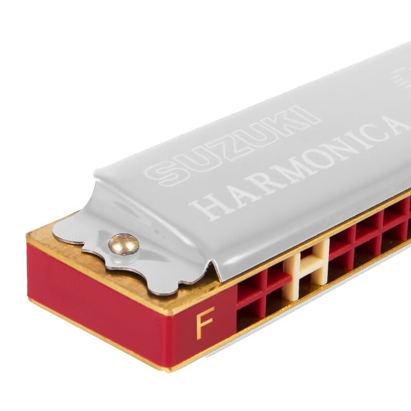 Suzuki (SUZUKI) 24-hole polyphonic harmonica Study-24 students use classroom teaching beginners C key adult self-study entry-level instrument 24 holes F key silver + leather case