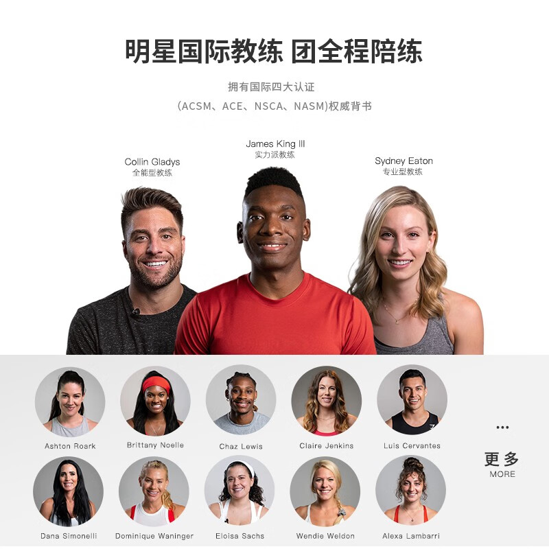 SUNNY American sculls rowing machine home magnetically controlled foldable rowing machine indoor sports fitness equipment rowing machine classic gray 8-level resistance | shoulder and neck exercise | self-installation