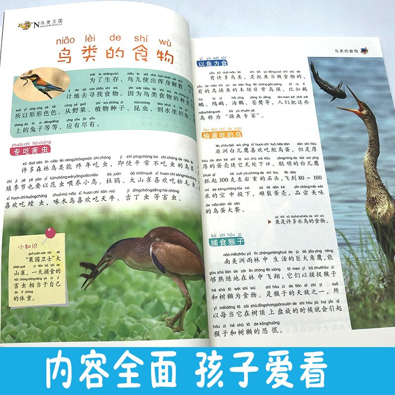 My first set of encyclopedias: The Bird Kingdom (16-karat four-color paperback with color pictures and phonetic version)