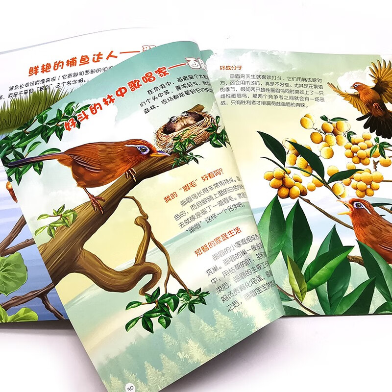 3-6 years old Children’s Eyes on the World Science Museum Bird Kingdom