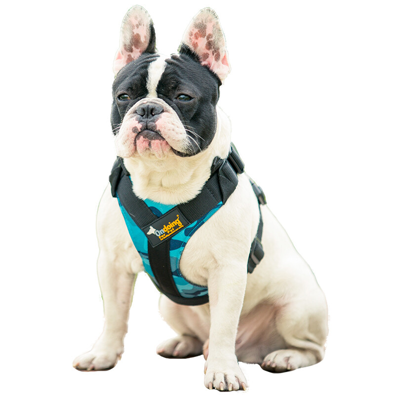 chain dog harnesses for large dogs