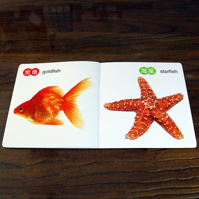 Animals Baby Cognition Complete Book 0-3 years old baby cannot tear apart Enlightenment Cognition Cards Flip through educational picture book and object recognition card book English bilingual preschool reading book for babies who are not afraid of tearing