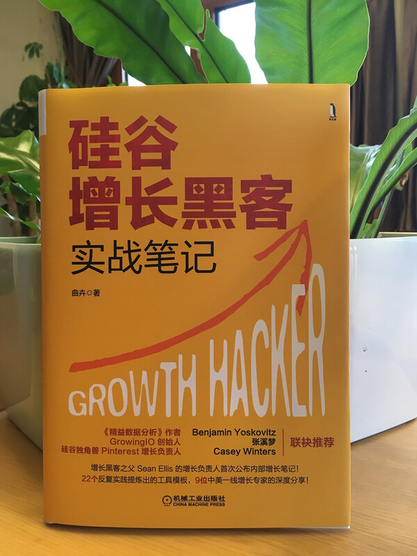 Silicon Valley Growth Hacking Practical Notes