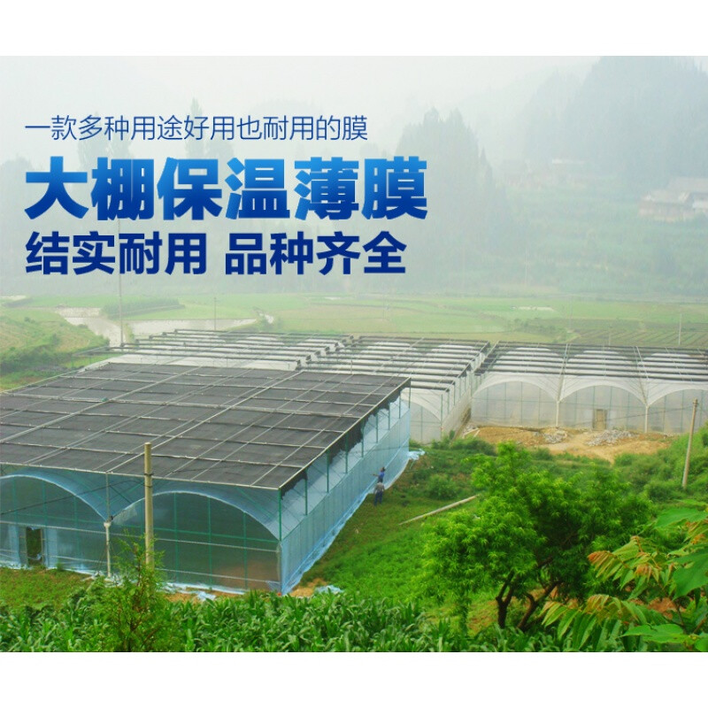 Plastic film packaging thickened greenhouse film dustproof insulation agricultural film anti-aging whole roll for sale 2 meters wide 8S a roll 150 meters