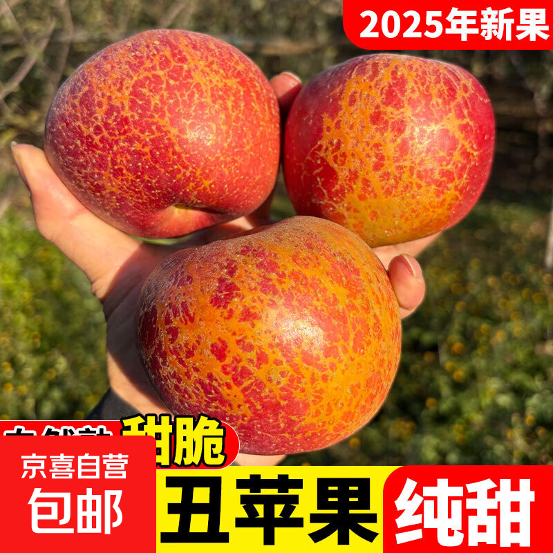 25-year-old Yunnan Zhaotong Ugly Apple Rock Candy Heart Authentic Gift Box Fresh Apple Fruit Seasonal Whole Box Flat Fruit 1 catties Small Fruit (60-70mm)