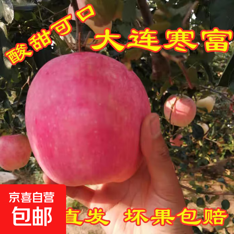 In stock, Northeastern fresh cold-rich apples, Dalian, Liaoning, straight-haired, sour, sweet and crisp fruits for pregnant women, free shipping, 5 pounds per box, 85-90mm