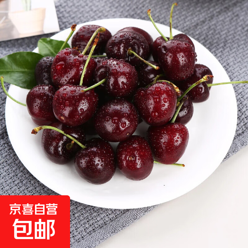 Chilean cherries in stock, freshly imported large cherry cherry holiday gift box, 5 catties (net weight), imported original box, small fruit XL, single fruit 24-26mm