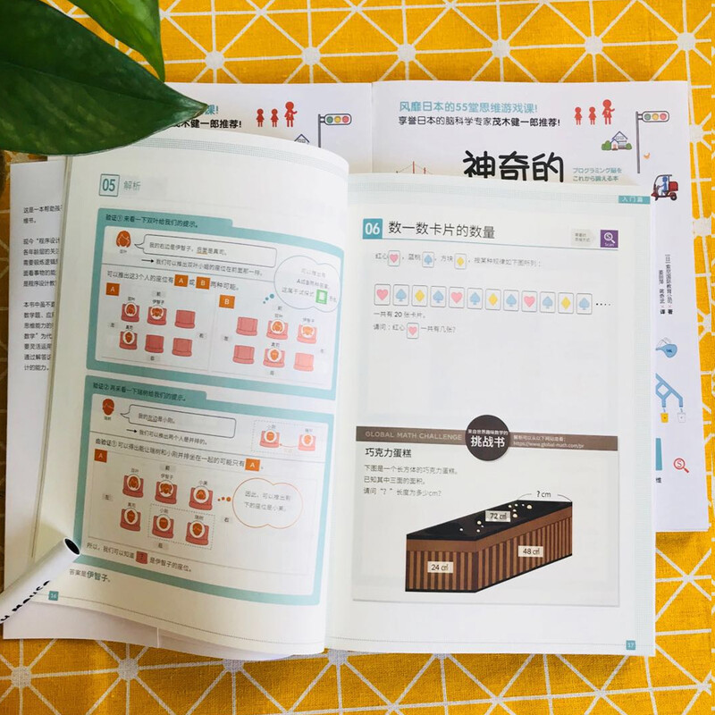 Magical logical thinking game book. Summer homework to improve children's logical thinking training for children aged 5-13. Summer vacation transition from primary school to junior high school. Summer vacation transition from primary school to junior high school.