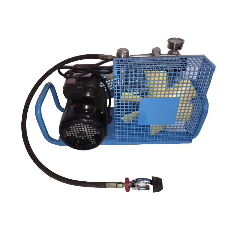 QWLB12/0.8-A Backpack high-pressure water mist fire extinguishing device Mobile DC spray water gun pulse forest fire extinguisher Backpack 12L single gas cylinder Ning'an brand