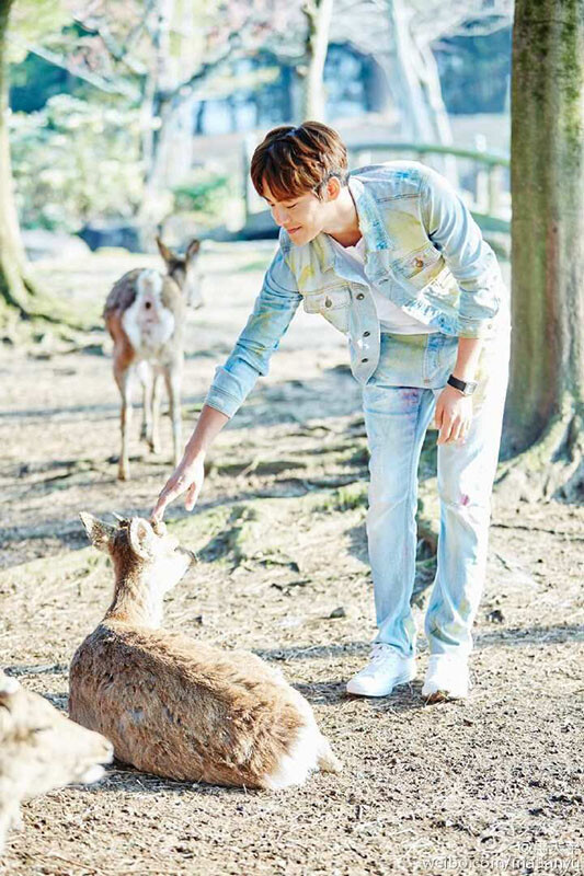 Free bookmarks, postcards, sulfuric acid paper, I'm a Ronin, Ma Tianyu's new memoirs, celebrity biographies, photo books, first self-analysis in ten years since his debut, ready for sale