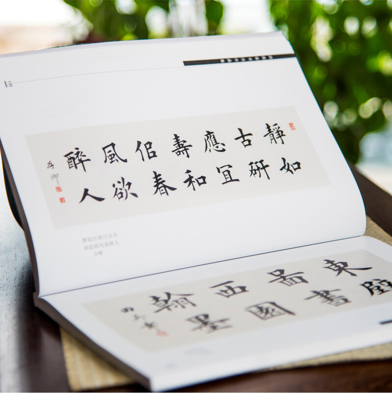 Huaxia Wanjuan Tian Yingzhang's calligraphy works collection, radicals of strokes, calligraphy hardcover genuine appreciation