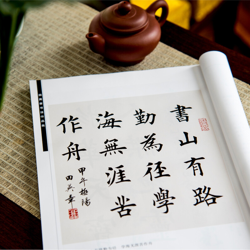 Huaxia Wanjuan Tian Yingzhang's calligraphy works collection, radicals of strokes, calligraphy hardcover genuine appreciation